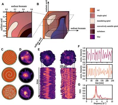 The excitable nature of polymerizing actin and the Belousov-Zhabotinsky reaction